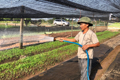 Nông nghiệp Hà Nội tăng trưởng toàn diện