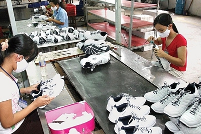 Phụ thuộc nguyên liệu, doanh nghiệp da giày Việt khó cạnh tranh