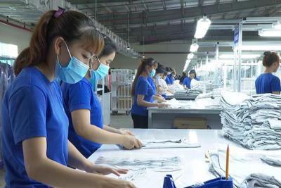Hà Nội có 17,2 nghìn doanh nghiệp thành lập mới trong 7 tháng, tăng 13%