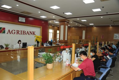 Agribank tích cực góp phần phục hồi, phát triển kinh tế - xã hội