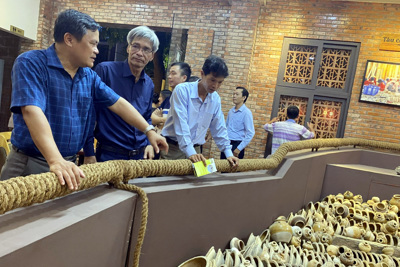 Quảng Ngãi: Trưng bày bảo vật quốc gia, cổ vật tàu đắm để hút du khách