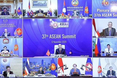 Việt Nam - Nhân tố quan trọng trong sự phát triển của ASEAN