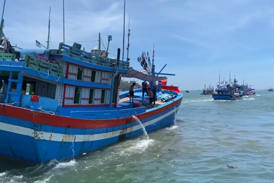 Quảng Ngãi: Dầu giảm giá, ngư dân hối hả vươn khơi