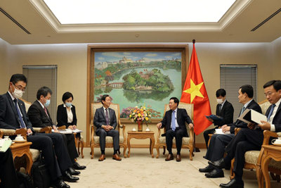 Việt Nam - Nhật Bản nỗ lực thúc đẩy tiến độ các dự án ODA