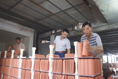 Hà Nội: Khi nông dân hợp sức làm giàu