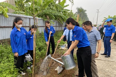 Nhiều hoạt động thiết thực của Thanh niên Thủ đô tại huyện Sóc Sơn