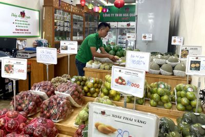 Hà Đông siết chặt kiểm tra cửa hàng kinh doanh trái cây 