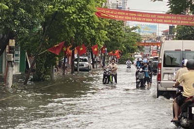 Hải Phòng: Cây xanh gãy đổ, nhiều tuyến phố ngập lụt sau bão số 3
