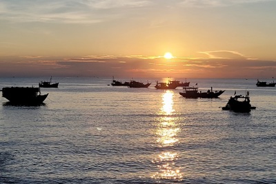Hà Tĩnh: Sản lượng khai thác vụ cá Nam đạt trên 17.600 tấn