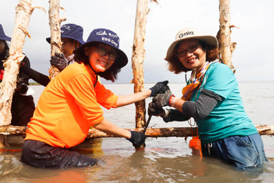 BAT và Gaia hợp tác thực hiện dự án trồng rừng tại Cà Mau, Đồng Nai 