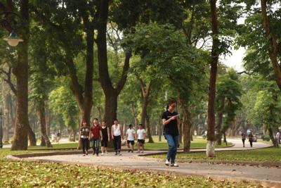 Hà Nội: Thành lập Ban Chỉ đạo đầu tư xây dựng, nâng cấp công viên