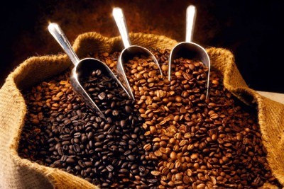 Giá cà phê hôm nay 16/9: Arabica tăng trở lại, nguồn cung Robusta đang rất thiếu