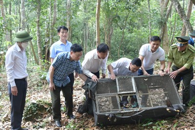 Chi cục Kiểm lâm Hà Nội: Nỗ lực bảo vệ động vật hoang dã