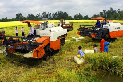 Dự án Chuỗi giá trị lúa gạo giúp 10.000 hộ nông dân được hưởng lợi