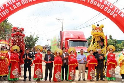 Lâm Đồng xuất khẩu chính ngạch lô sầu riêng đầu tiên sang Trung Quốc
