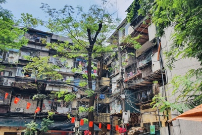 Xây dựng lại chung cư cũ quận Thanh Xuân: Người dân sẽ giám sát thực hiện