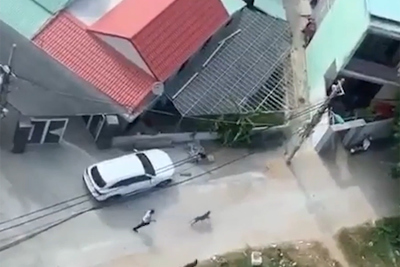 Thông tin mới nhất vụ thả chó Pitpull cắn hàng xóm để trả thù ở Đà Nẵng