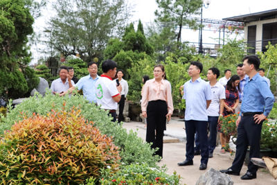 Hà Nội: Phát triển nông nghiệp sinh thái gắn với du lịch