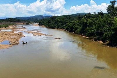 Quảng Nam: Những dòng sông bị “bức tử” bởi hóa chất ở huyện Tiên Phước