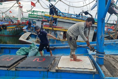 Quảng Ngãi: Nhiều tàu cá quay đầu tránh bão Noru
