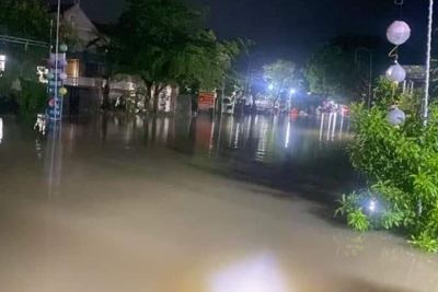 Nghệ An: Hàng nghìn hộ dân tại huyện Quỳnh Lưu chạy lũ trong đêm