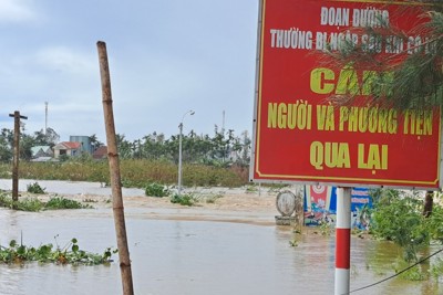 Quảng Nam: Gần 2.300 người dân bị cô lập 
