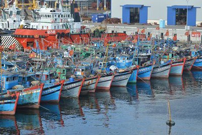 Lập Hội đồng thẩm định Quy hoạch cảng cá tránh trú bão cho tàu cá