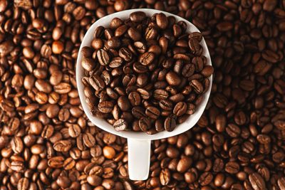 Giá cà phê hôm nay 4/10: Robusta tăng trở lại, kịch bản nào đến cuối năm?