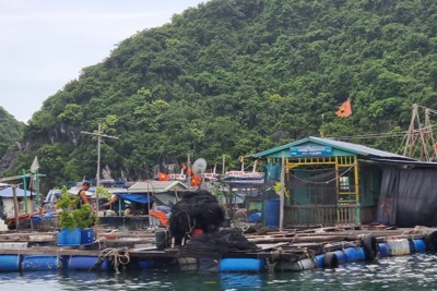 Cát Hải: Giải tỏa lồng bè tiến tới thương hiệu du lịch “Cát Bà xanh”