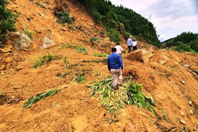 Sạt lở đất, 170 hộ dân ở Quảng Nam bị chia cắt