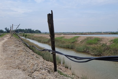 Hà Tĩnh: Mất an toàn lưới điện tại vùng nuôi trồng thủy sản