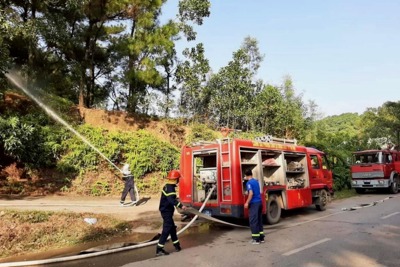 Liên tiếp xảy ra cháy rừng, huyện Sóc Sơn yêu cầu điều tra, xử lý nghiêm