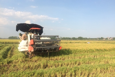 Quỹ Khuyến nông Hà Nội: Đòn bẩy phát triển cơ giới hóa nông nghiệp