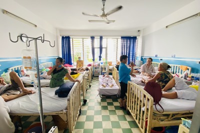 TP Hồ Chí Minh kích hoạt báo động đỏ dịch sốt xuất huyết