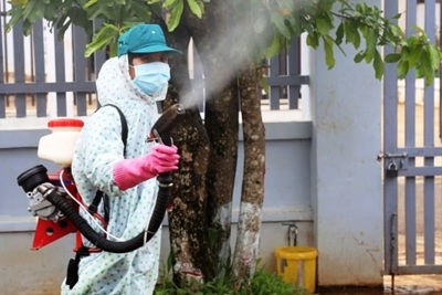 Quảng Nam ghi nhận ca sốt xuất huyết đầu tiên tử vong 