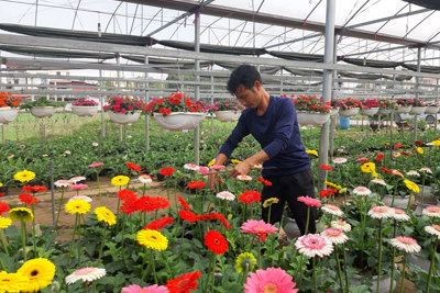 Quỹ Khuyến nông Hà Nội: Thúc đẩy nông nghiệp Thủ đô phát triển bền vững