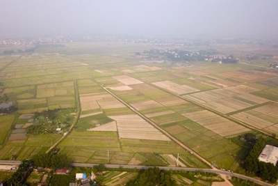 Sắp đấu giá hơn 93.000m2 đất sản xuất nông nghiệp tại huyện Sóc Sơn