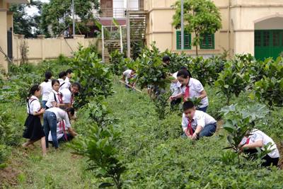 Nâng cao ý thức, đẩy mạnh hành động bảo vệ môi trường từ ghế nhà trường