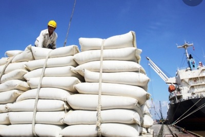 Bất chấp cuộc chiến Nga - Ukraine, xuất khẩu gạo Việt Nam vẫn vượt chỉ tiêu
