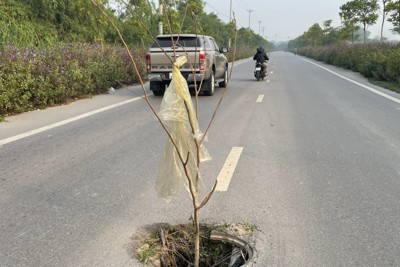 Hàng loạt nắp hố ga tại tuyến đường giao thông huyện Thanh Trì bị lấy trộm