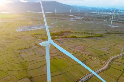 CIP hợp tác với các doanh nghiệp Việt phát triển điện gió ngoài khơi