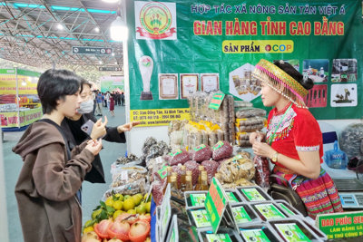 Khai mạc "Tuần hàng OCOP - Sản vật Việt Nam phát triển và hội nhập"