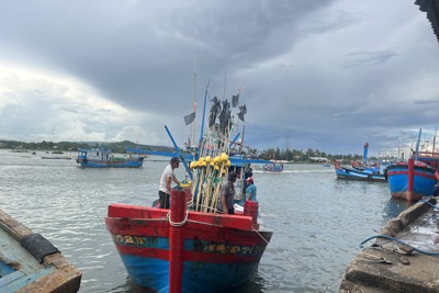 Quảng Ngãi: "Nói không" với khai thác hải sản bất hợp pháp