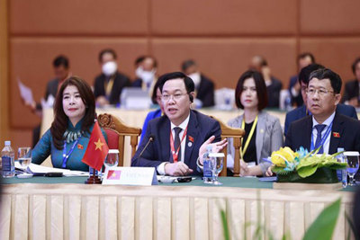 Chủ tịch Quốc hội dự phiên họp Ban Chấp hành Đại hội đồng AIPA-43 