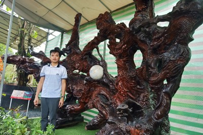 Người sở hữu tác phẩm điêu khắc từ rễ cây đạt kỷ lục Việt Nam