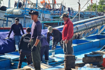 Khát lao động nghề biển: Chủ tàu cho mượn tiền để “giữ chân” bạn chài 