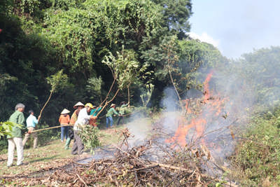 Nâng cao hiệu quả phòng cháy, chữa cháy rừng