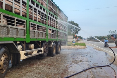 Hà Tĩnh: Dịch vụ rửa xe, tắm lợn “nở rộ” bên quốc lộ 1A  