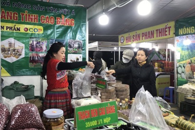 Khai mạc Hội chợ Hàng Việt Nam được người tiêu dùng yêu thích 2022