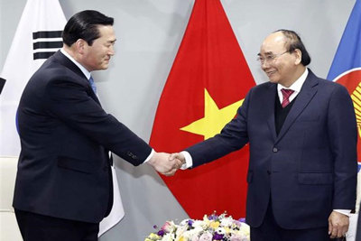 Chủ tịch nước tiếp các tổ chức hữu nghị, hợp tác Hàn-Việt 